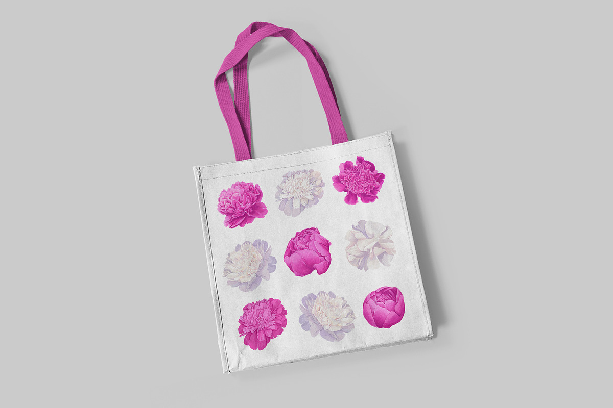 White & Pink Realistic Peonies Set, an Illustration by MarynaPetrovska (Photo 13 of 23)