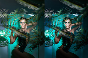 10xLightroom Presets Peacock Presets