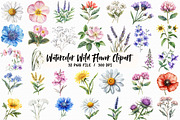 Watercolor Wild Flower Clipart, an Illustration by Libby Wishes (Thumbnail 1 of 7)