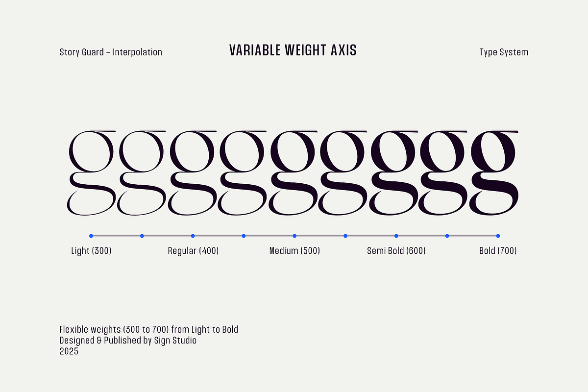 Story Guard Variable, a Sans Serif Font by Sign Studio (Photo 2 of 16)