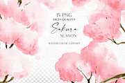 Sakura Season - Delicate watercolour, an Illustration by Olga Koelsch (Thumbnail 10 of 11)