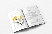 Giola Lookbook/Magazine - 2019, a Brochure Template by Bokuto (Thumbnail 4 of 12)