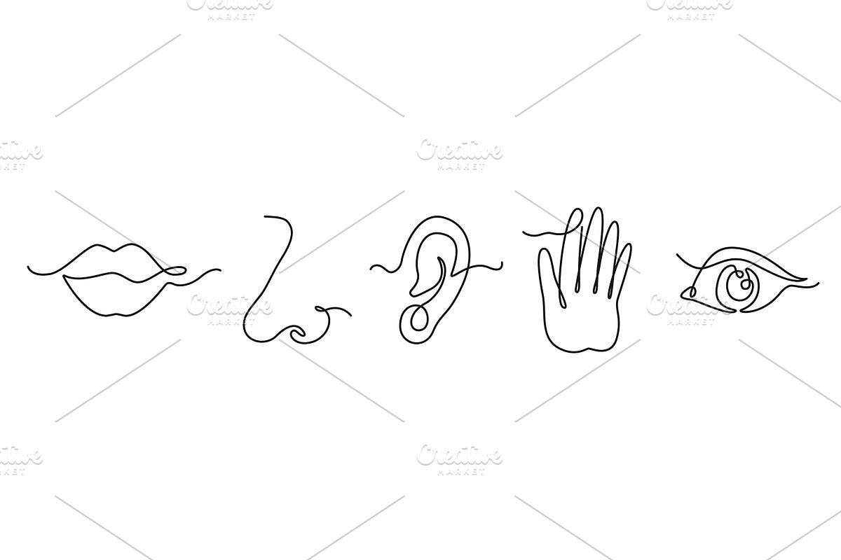 One line five human senses. Mouth to, a Healthcare Illustration by winwin.art