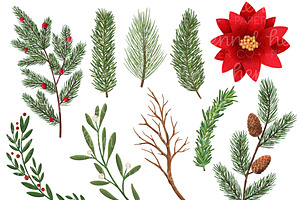 Holiday Foliage Watercolor Clipart