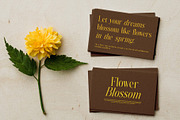 Nother Gambus Family Serif Font, a Serif Font by Graphicxell (Thumbnail 5 of 8)