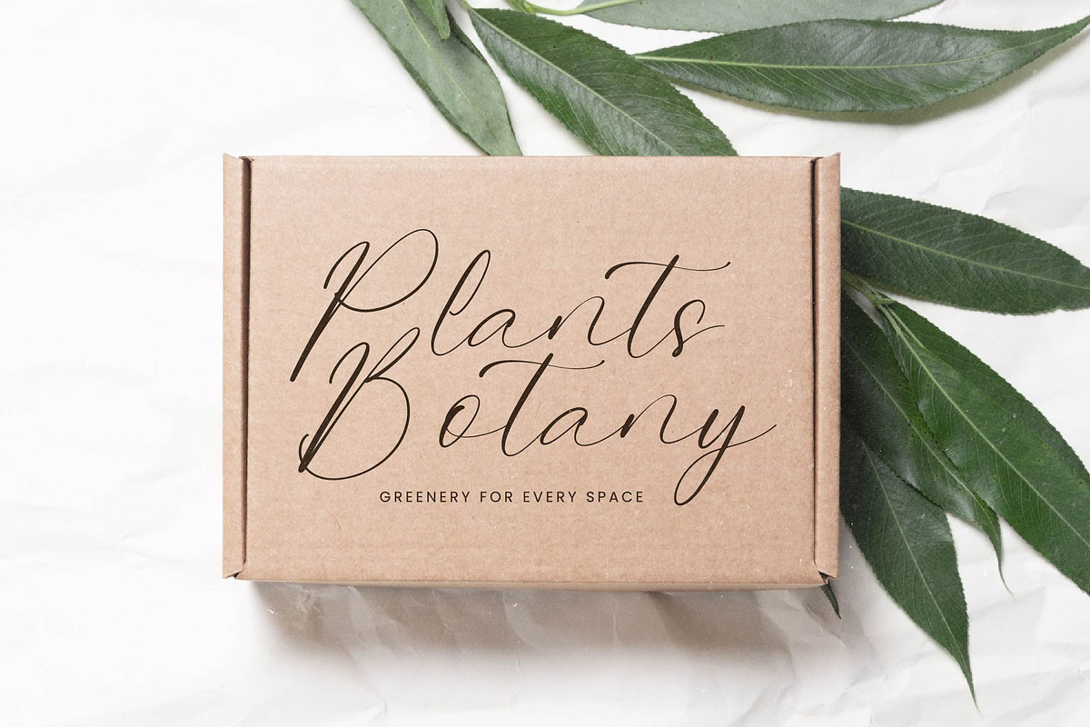 Belinda Tsakila Modern Freestyle, a Script Font by Letterena Studios Script (Photo 2 of 15)