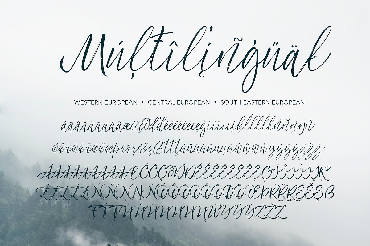 Frideswide Script, a Script Font by Asya Mix (Photo 9 of 13)
