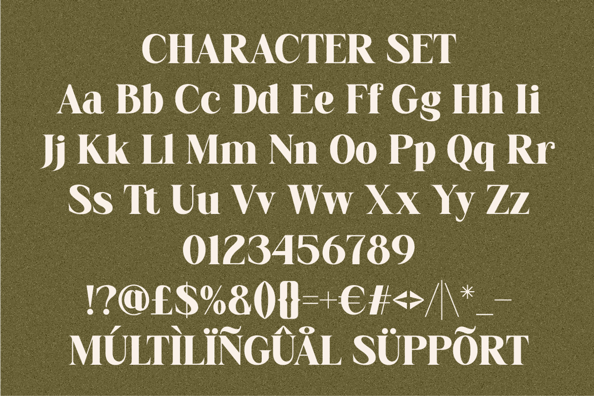 Elarion Elegant Serif Font, a Font by PutraCetol Studio (Photo 5 of 5)