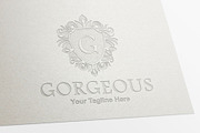 Gorgeous Logo, a Branding & Logo Template by MotionMount (Thumbnail 9 of 11)