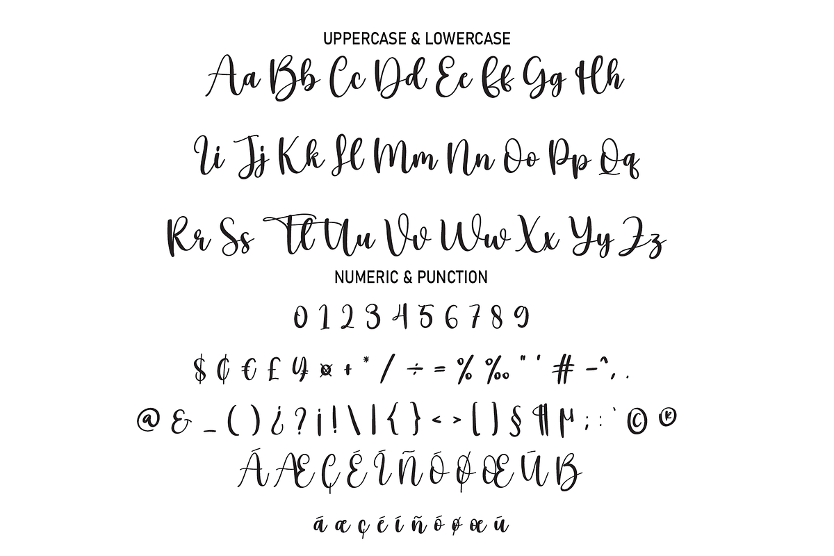 Volley | Script Font, a Script Font by Scratchones (Photo 3 of 8)