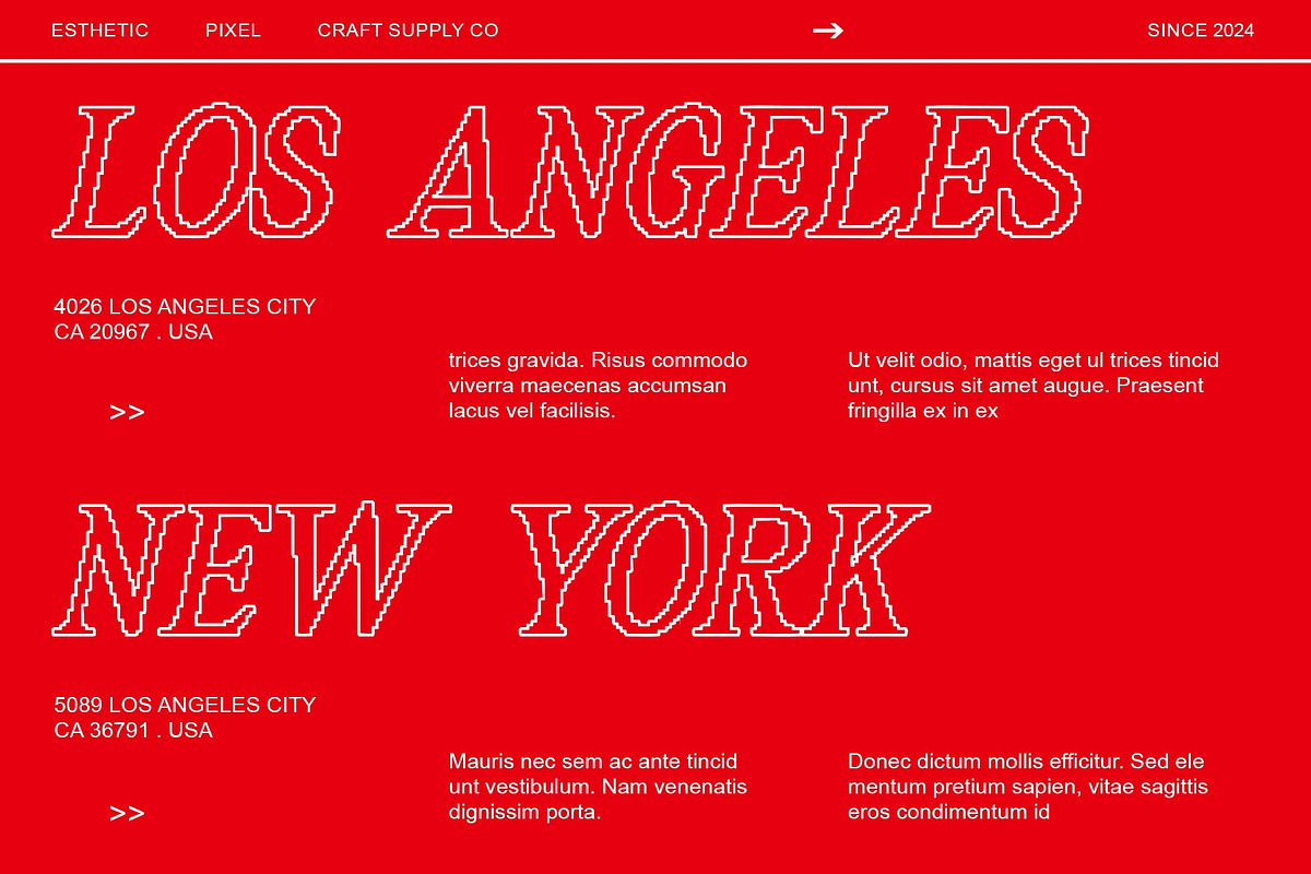 Asthetic Pixel, a Serif Font by Craft Supply Co. (Photo 3 of 8)