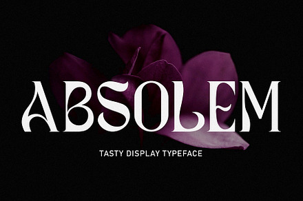 ABSOLEM - Stylish Serif, a Serif Font by Anastasia Cuza