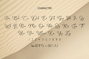 Vilona Calligraphy Script Font, a Script Font by Giant Design (Thumbnail 10 of 10)