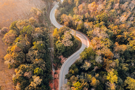fall trees from above,Overhead view of a road in a forest in aut, a Nature Photo by Art Rachen