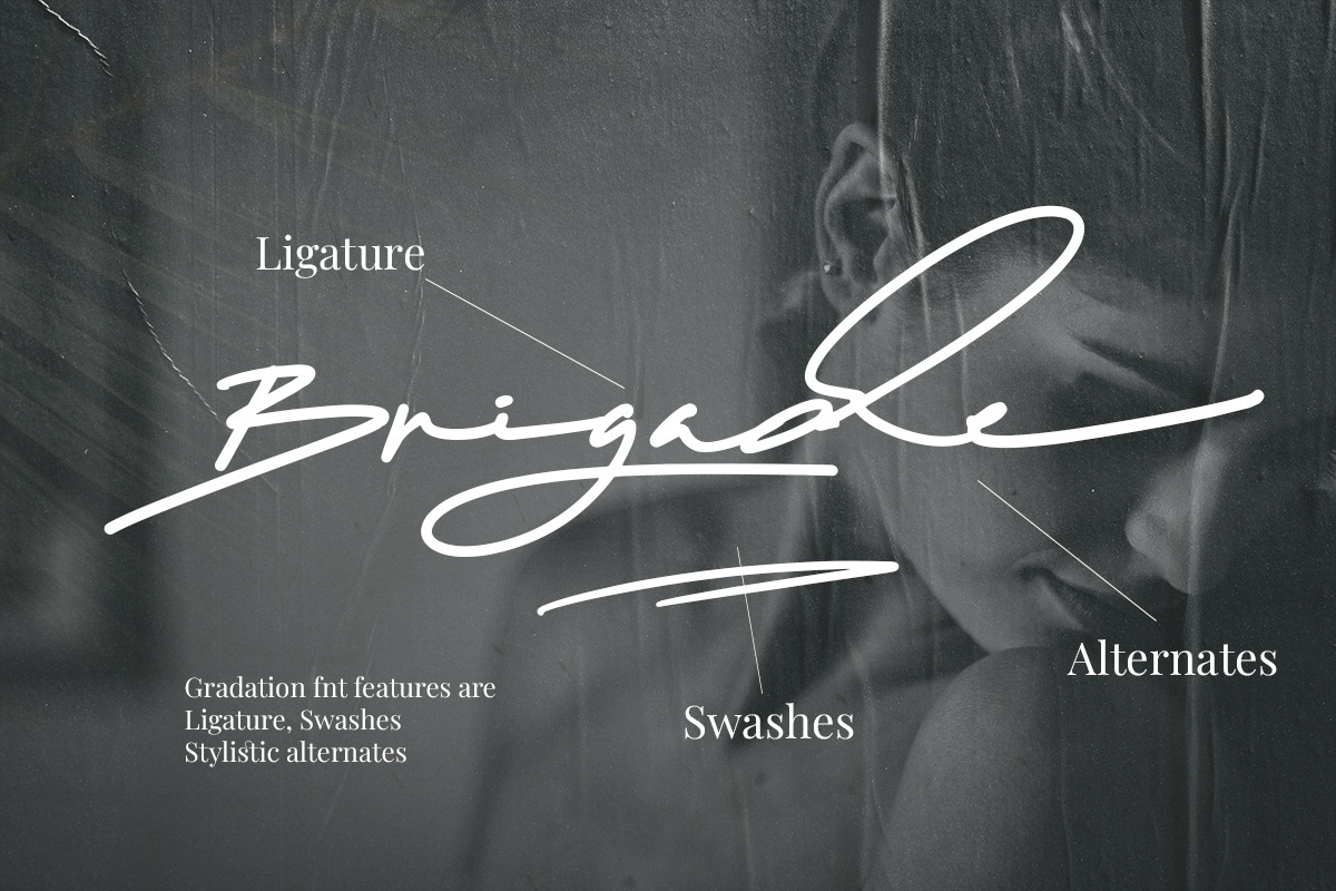 Gradation - Realistic Signature, a Script Font by Scratch Design (Photo 5 of 15)