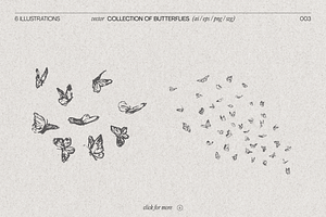 Drawings Of Butterflies