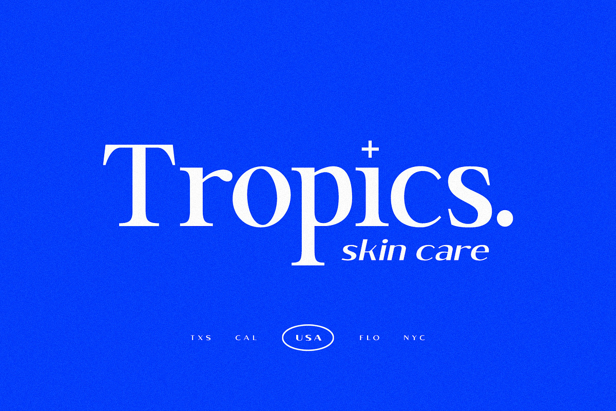 Brixton TC Pro Font collection, a Serif Font by Tom Chalky (Photo 4 of 10)