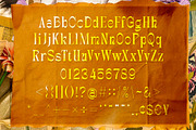 Nouvore - Elegant Display Serif Font, a Serif Font by Almeera Std (Thumbnail 2 of 6)