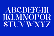 Chan Romance, a Serif Font by zaaintype (Thumbnail 8 of 11)