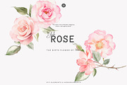 Watercolor June Flower Clipart Set, a Decorative Illustration by Patishop Art (Thumbnail 2 of 10)