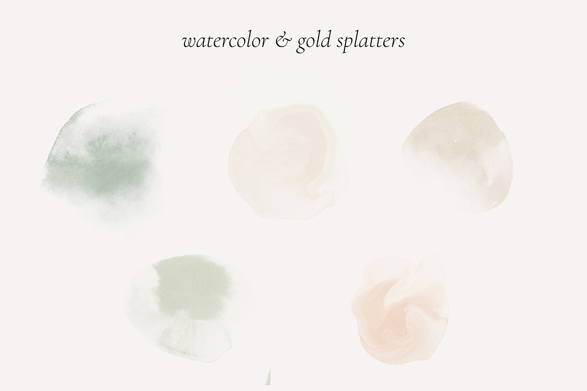 Watercolor White Rose Collection, an Object Illustration by bloomscape (Photo 13 of 13)