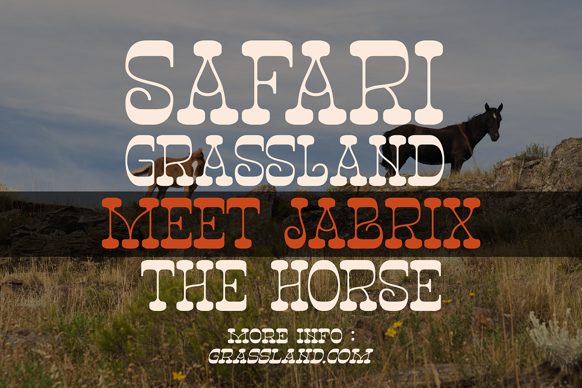 Ngarai Biscet | Western Slab Serif, a Slab Serif Font by Denustudios (Photo 9 of 15)