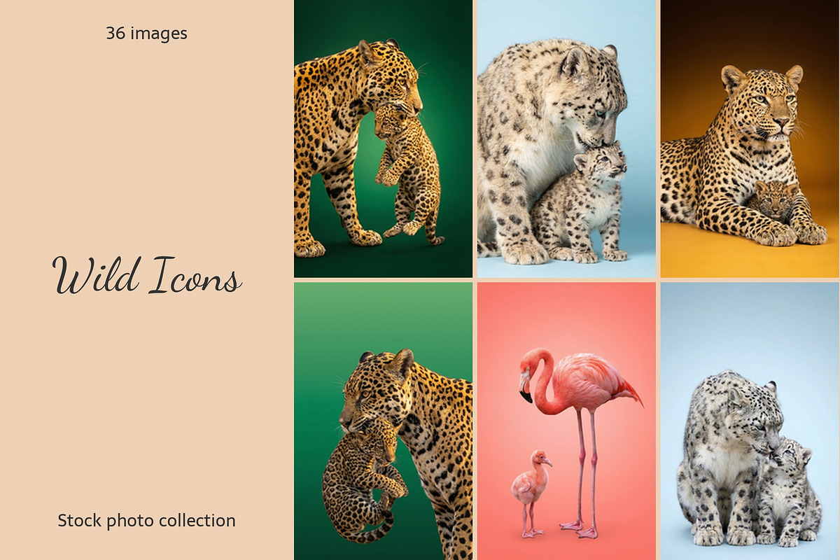 Wild Icons. Animals parents., an Animal Photo by AI Petr Creative Agency (Photo 1 of 7)
