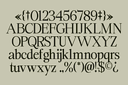 Swarsh Daisy - Elegant Serif Display, a Serif Font by Marvadesign (Thumbnail 6 of 8)