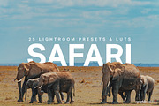 25 Safari Lightroom Presets LUTs, a Preset Add-On by SparkleStock (Thumbnail 1 of 15)