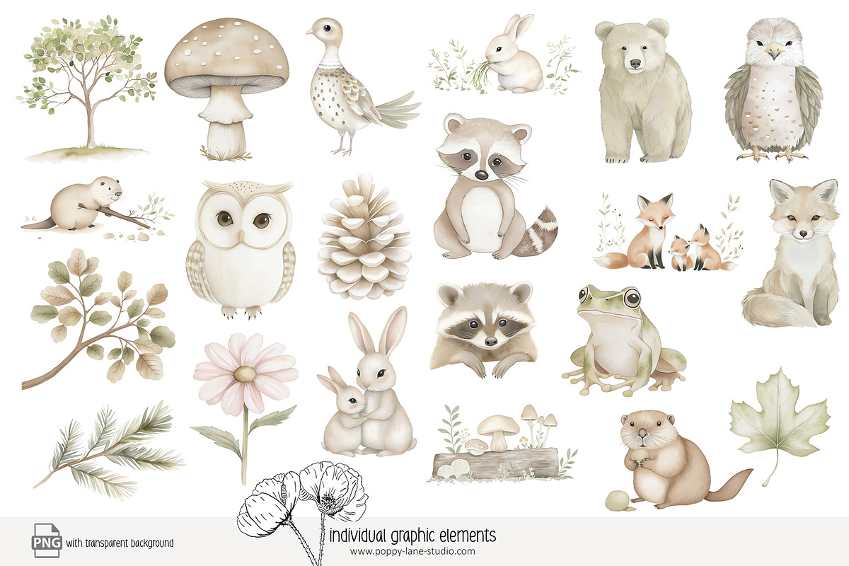 85 forest animal clip art, an Animal Illustration by Poppy Lane Studio (Photo 4 of 10)
