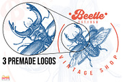 300+ Vintage Insects & Bugs Etchings, a Graphic by Craftsy Crafters (Thumbnail 3 of 8)