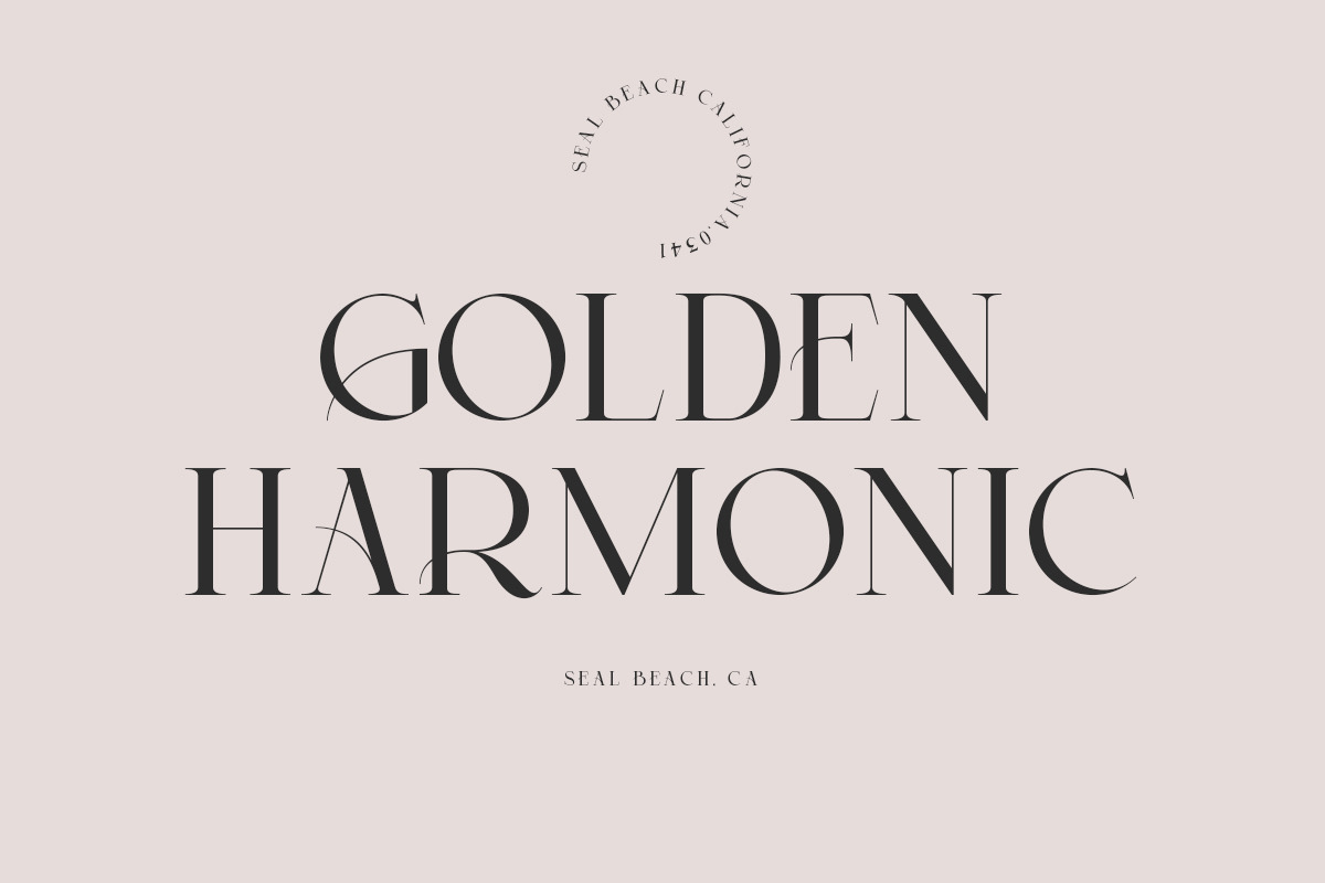 Malibu | Modern Stylish, a Serif Font by Muntab_Art (Photo 3 of 8)
