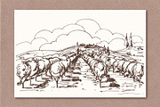 Hand drawn vineyards illustrations, an Illustration by Blue Ink Studio (Thumbnail 3 of 5)