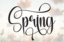 Spring | Script Font