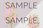 Pastel Australian Flowers Clipart, a Decorative Illustration by Pawcasso's Portraits (Thumbnail 10 of 10)