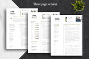 Professional CV Template | Canva, a Resume Template by Lux Resume (Thumbnail 3 of 9)