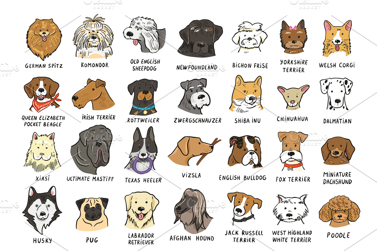 Dogs with Glasses, an Animal Illustration by GooseFrol (Photo 10 of 17)