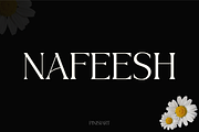 Nafeesh, a Font by Pinisi ART (Thumbnail 1 of 10)