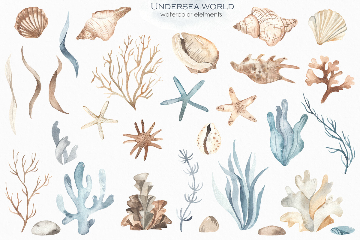 Undersea world Watercolor, an Animal Illustration by Marina Ermakova (Photo 4 of 12)