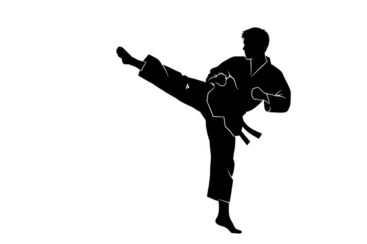 Dynamic martial arts kick silhouette, an Illustration by Amazin_art (Photo 15 of 36)