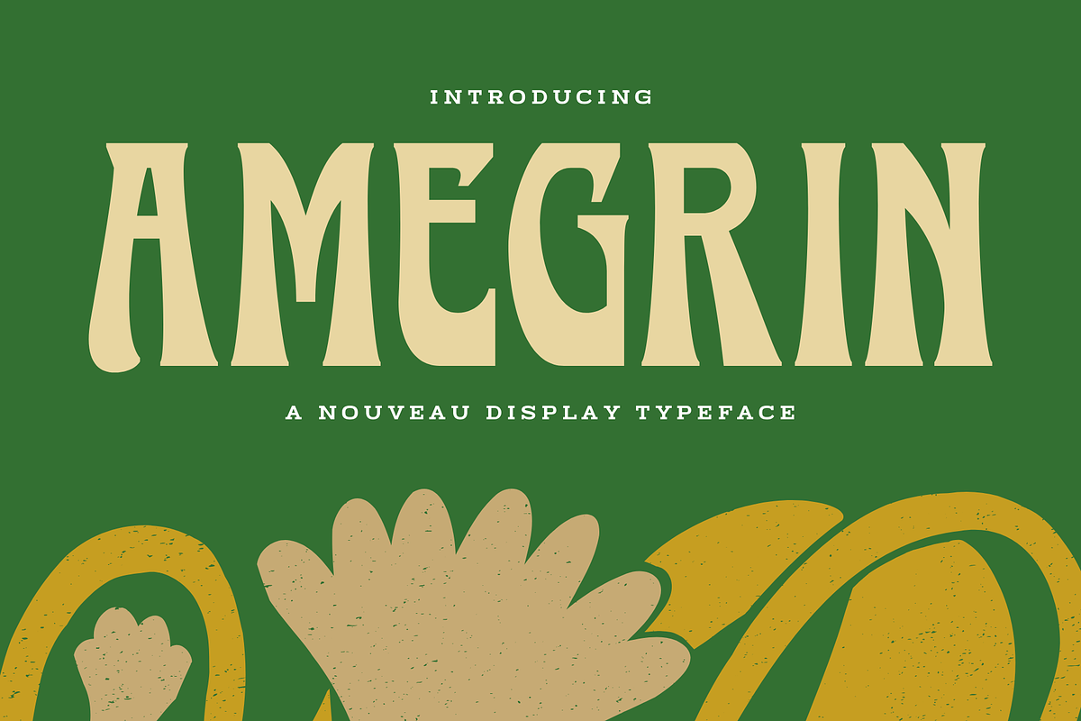 Amegrin - Vintage Display Font, a Serif Font by Sronstudio (Photo 1 of 13)