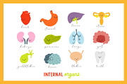 Internal Organs, a Photo by Anna (Thumbnail 2 of 2)