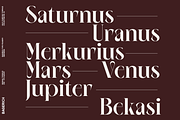 NEIMA, a Serif Font by Bagerich Type Foundry (Thumbnail 5 of 15)