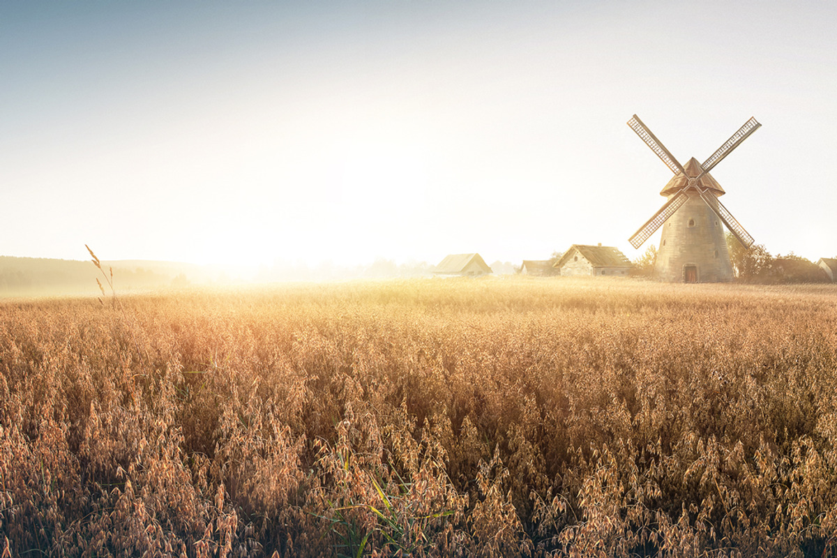 Autumn rural landscape, a Food Illustration by Countryside life (Photo 4 of 9)