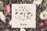 Organic Botanicals & Logo Designs, an Illustration by amber&ink (Thumbnail 17 of 17)