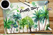 Watercolor Exotic Trees, an Illustration by Graphobia (Thumbnail 11 of 11)