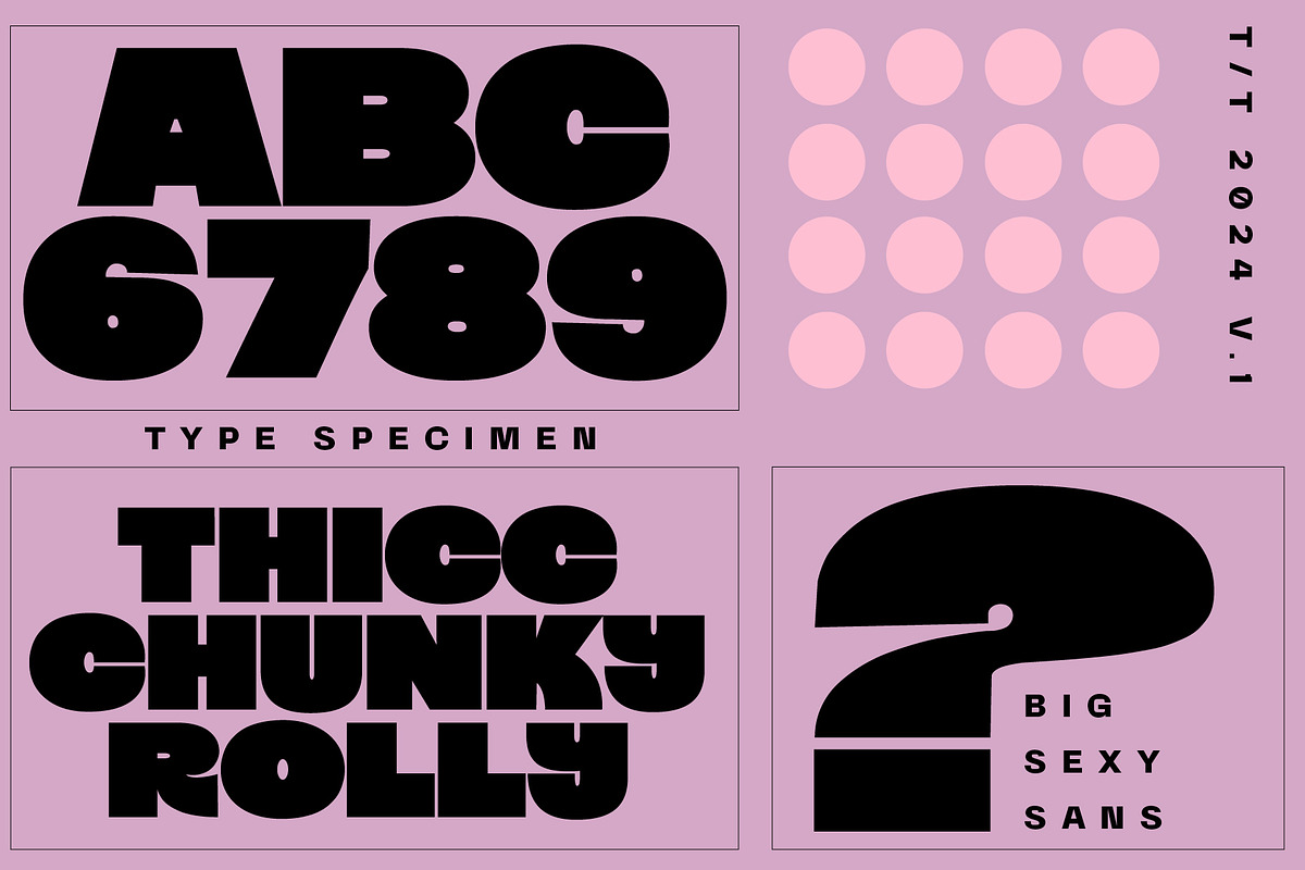 Big Sexy - Sans Serif, a Sans Serif Font by Tropical Type (Photo 8 of 13)