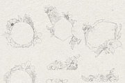 Pencil-drawn flowers, a Decorative Illustration by Damian Roh (Thumbnail 13 of 21)