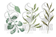 Greenery Watercolor Clipart, a Decorative Illustration by NKTKNS (Thumbnail 4 of 9)