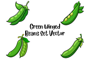 Green Winged Beans Set Vector, a Food Illustration by Awieee1
